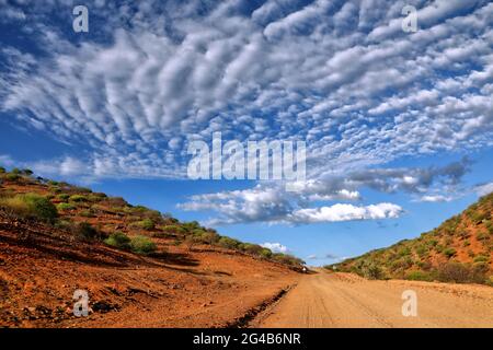 Straße und Landschaft im Norden von Namibia Straße und Landschaft im Norden Namibias Stockfoto