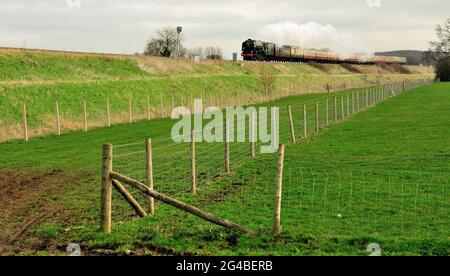 Neu gebauter Class A1 Pacific No 60163 Tornado, der durch Wiltshire mit dem Cathedrals Express nach Plymough fährt. 10th. März 2012. Stockfoto