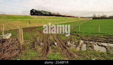 Neu gebauter Class A1 Pacific No 60163 Tornado, der durch Wiltshire mit dem Cathedrals Express nach Plymough fährt. 10th. März 2012. Stockfoto