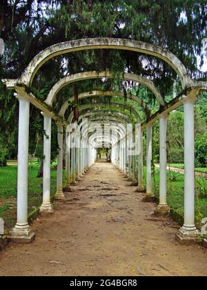 Pergola auf öffentlichem Park, Rio de Janeiro Stockfoto