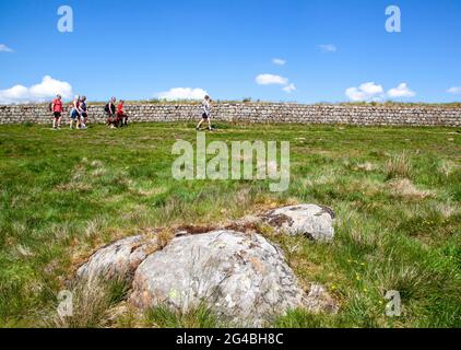 Menschen und Familien, die entlang eines Abschnitts der clayton-Mauer auf dem Rasen wandern, während sie auf dem nationalen Fernwanderweg Hadrians Wall spazieren Stockfoto