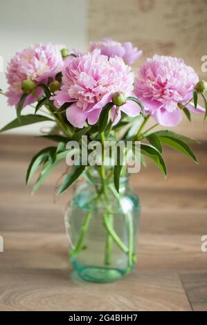 Bouquet von frischen rosafarbenen Pfingstrosen in transparentem Glas, das drinnen auf dem Tisch steht Stockfoto