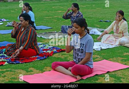 Indische Frauen führen Yoga am Vorabend des Internationalen Yoga-Tages in Beawar durch. Der Yoga-Tag wird seit 2015 jährlich am 21. Juni gefeiert. Yoga ist eine körperliche, geistige und spirituelle Praxis, die ihren Ursprung in Indien hat. Die indische Regierung kündigte das besondere Thema für den Internationalen Tag des Yoga 2021 an: ‘Yoga for Wellness'. (Foto von Sumit Sararswat/Pacific Press/Sipa USA) Stockfoto