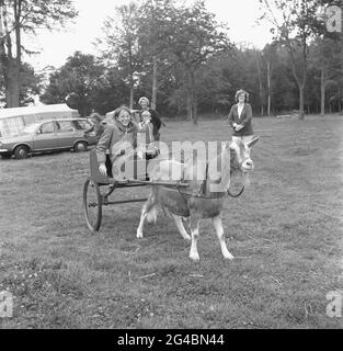 1980er Jahre, historischer Familienspaß, draußen auf einem Feld auf einem Farmcampingplatz, ein Mädchen, das auf einem Wagen sitzt, von einer Ziege gezogen und von ihrer Mutter, Hordle, Hampshire, England, Großbritannien, beobachtet wird. Eine Ziege und ein Karren waren einst ein üblicher Anblick auf den Straßen vieler Länder auf der ganzen Welt, von königlichen Familien für ihre Kinder zu genießen, bis hin zu arbeitenden Menschen, wo die Karren - oft aus recycelten Materialien - für den Transport von landwirtschaftlichen Produkten wie Milch verwendet wurden, Bier und Gemüse. Stockfoto