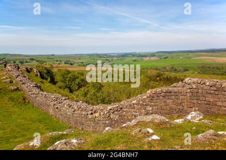 Blick entlang Walltown Klippen Teil der Hadrians Wand lange Strecke National Trail Wanderweg Northumberland England Großbritannien Stockfoto