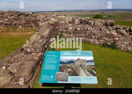 Blick entlang Walltown Klippen Teil der Hadrians Wand lange Strecke National Trail Wanderweg Northumberland England Großbritannien Stockfoto