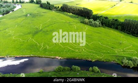 Eine riesige Karte von Schottland mäh auf einem Bauernfeld in der Nähe von Jedburgh an den schottischen Grenzen. Die Karte umfasst fast 1,5 km und wurde von John Henderson, dem Gründer der Einzelhandelskette Born in Scotland, zur Feier der Teilnahme Schottlands an der Euro 2020 erstellt. Bilddatum: Sonntag, 20. Juni 2021. Stockfoto