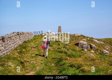 Frau, die in der Landschaft von Northumberland entlang der römischen Hadrianmauer auf den Windshield-Felsen zum trig Point am höchsten Punkt des Weges geht Stockfoto