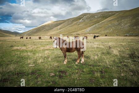 Ein weiterer Tag im wilden kleinen Tibet, in Italien. Stockfoto