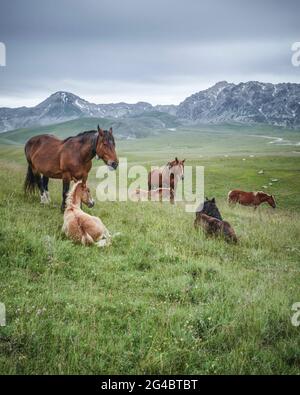 Ein weiterer Tag im wilden kleinen Tibet, in Italien. Stockfoto