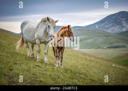 Ein weiterer Tag im wilden kleinen Tibet, in Italien. Stockfoto