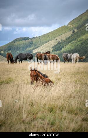 Ein weiterer Tag im wilden kleinen Tibet, in Italien. Stockfoto