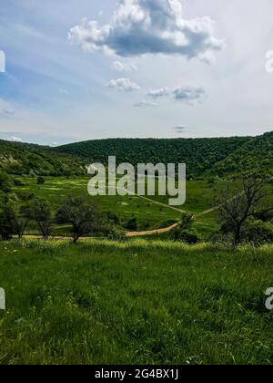 Old Orhei. Moldawien. Natur.Butuceni. Grüne hillen. Wald Stockfoto