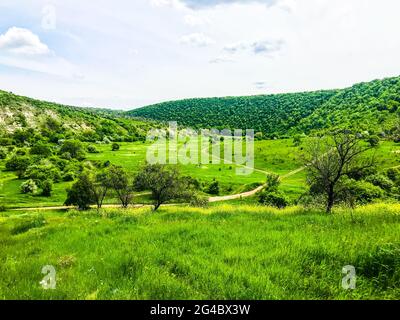 Old Orhei. Moldawien. Natur.Butuceni. Grüne hillen. Wald Stockfoto