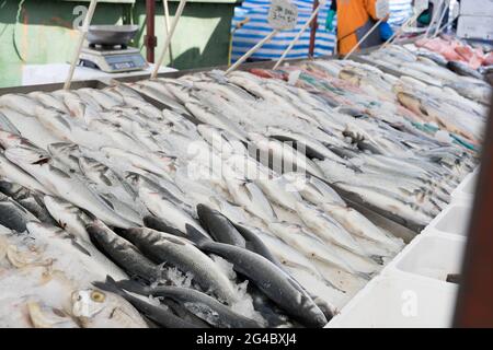 Frische rohe Fische auf dem Marktstand, Fischhändler, Seebrassen, Seebarsch Stockfoto