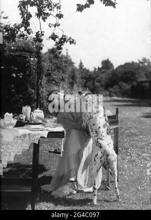 JESSIE MATTHEWS 1936 ehrliches Porträt mit dalmatinischem Hund im Garten von OTTO DYAR Werbung für Gaumont British Picture Corporation Stockfoto