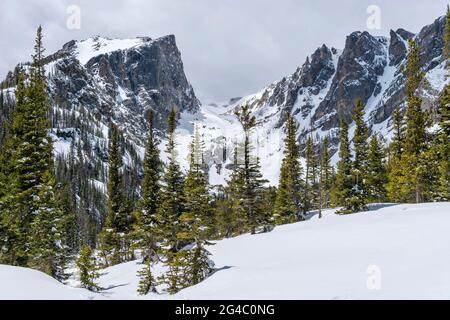 Spring Mountains - NAHAUFNAHME des Hallett Peak und des Flattop Mountain, umgeben von Schnee und Wald, im Rocky Mountain National Park, Colorado, USA. Stockfoto