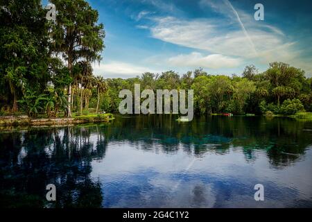 Die Naturfrühlingslandschaft von Silver Springs Florida Stockfoto