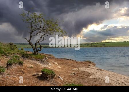 Colliford Lake, Cornwall, Großbritannien Stockfoto