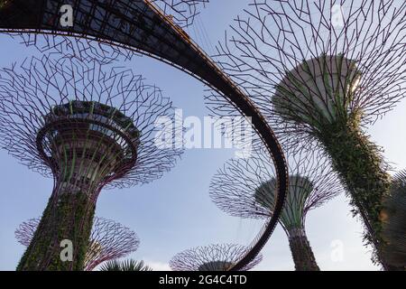 Gehwege in Singapurs legendärster Supertree Grove, Gardens by the Bay Stockfoto