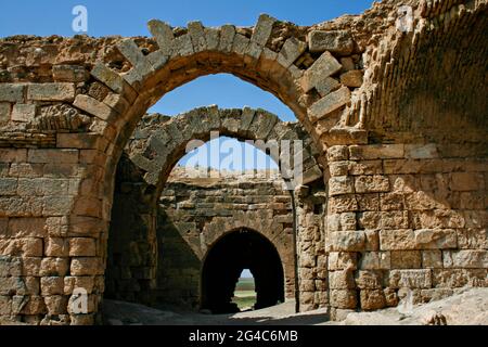 Überreste der alten Festung von Harran in der Altstadt von Harran, Sanliurfa, Türkei Stockfoto