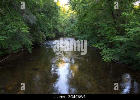 Ein Abschnitt des Davidson River in der Abenddämmerung, der in der Nähe der Stadt Brevard im Pisgah National Forest von North Carolina fließt. Stockfoto