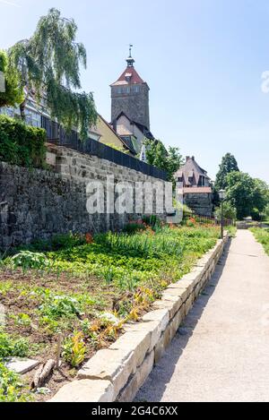 Die Stadt Waldenburg, Kreis Hohenlohe, Deutschland: Rund um die alte Stadtmauer, mit Lachners-Turm im Hintergrund Stockfoto