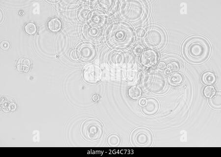 Wasserhintergrund. Weißes Wasser Textur, blaue Minze Wasseroberfläche mit Ringen und Welligkeit. Spa-Konzept im Hintergrund. Flach liegend, Draufsicht, Kopierbereich, Kopieren Stockfoto