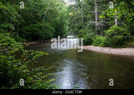 Ein Abschnitt des Davidson River in der Abenddämmerung, der in der Nähe der Stadt Brevard im Pisgah National Forest von North Carolina fließt. Stockfoto