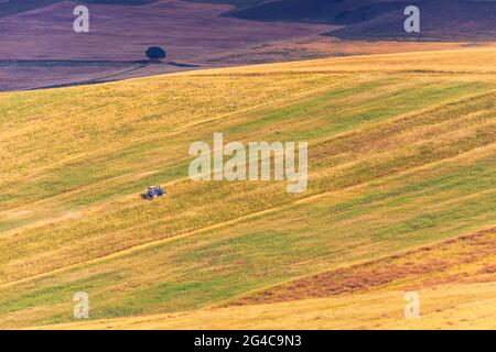 Traktor Ernte auf einem Feld in den Bergen Stockfoto