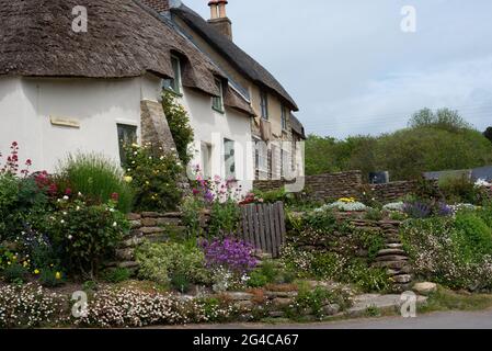 Reethütte, Eype Village, Bridport, Dorset UK Stockfoto