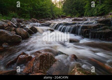 Das wunderschöne rauschende Wasser von Red Creek in Dolly Sods, West Virginia Stockfoto