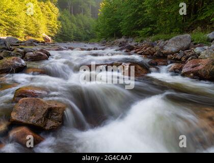 Das wunderschöne rauschende Wasser von Red Creek in Dolly Sods, West Virginia Stockfoto