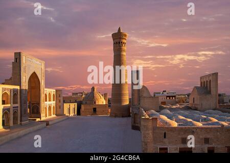 Poi Kalon Moschee und Minarett bei Sonnenuntergang in Buchara, Usbekistan. Stockfoto