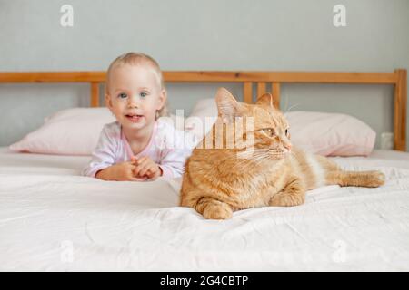 Ein kleines niedliches Mädchen sitzt mit einer fetten Ingwerkatze auf dem Bett, streichelt und spielt mit ihm. Stockfoto