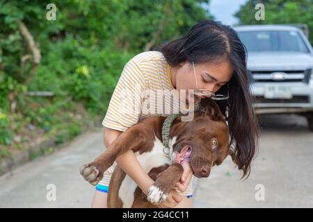 Mädchen spielen mit ihrem Hund Stockfoto