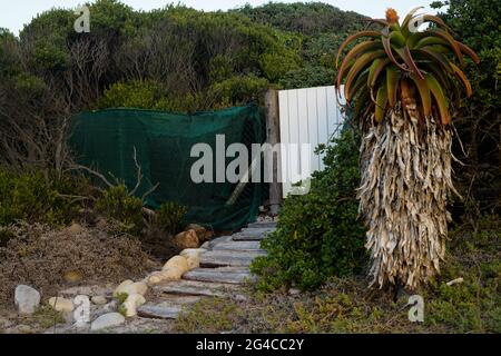 Ein Strandzugang zu einem Grundstück in Kommetjie, einer kleinen Küstensiedlung auf der südafrikanischen Kap-Halbinsel, in der Nähe von Kapstadt Stockfoto