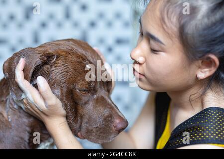 Junge Frau, die mit ihrem Lieblingshund, dem Konzept des Welthundes Love Day, ein Bad nimmt. Stockfoto