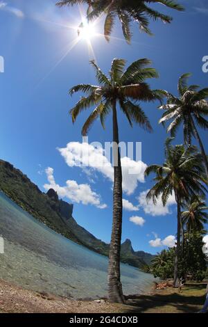 Opunohu Bay Moorea ist eine atemberaubend schöne Lage. Dies war die Bucht, in die Captain Cook bei seinem ersten Besuch in diesem Inselparadies segelte. Stockfoto