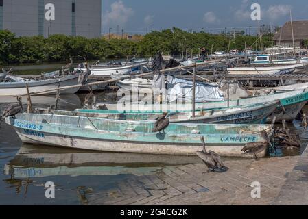 Fischerboote im Dock von San Francisco, Campeche, Mexiko Stockfoto