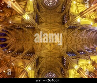 GEWÖLBTE DECKE SAINT PATRICK’S CATHEDRAL (©JAMES RENWICK 1858) FIFTH AVENUE NEW YORK CITY USA Stockfoto