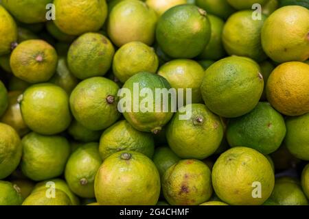 Nahaufnahme der Limettenfrüchte im Regal des Supermarkts. Schweden. Stockfoto