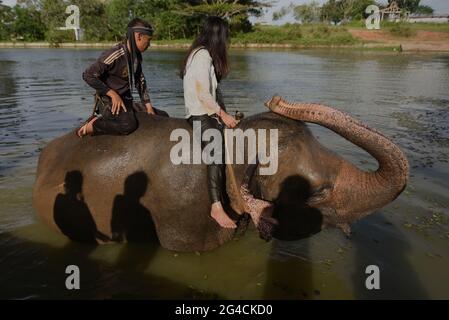 Ein Mahout und ein freiwilliger Arbeiter reiten auf einem Elefanten, nachdem er ihn im Sumatran Elephant Rehabilitation Center im Way Kambas National Park, Indonesien, gebadet hat. Stockfoto