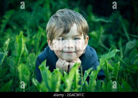 Im Gras liegt das Porträt eines fünfjährigen Jungen. Stockfoto