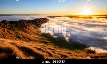 Sonnenaufgang und Morgennebel, Te Mata Peak, Hawke's Bay, Neuseeland Stockfoto