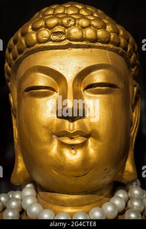 Ein goldener Buddha am Guan Yin-Schrein in Repulse Bay, Hong Kong Island Stockfoto