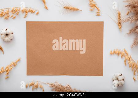 Erdig beige Farbe unbeschriftet Handwerk Papier Karte Hinweis Einladung Mockup mit Mockup getrocknete Baumwolle Blumen Getreide. Braune Mockup-Notizblöcke, leer für Begrüßung Stockfoto