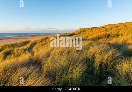 Sanddünen bei Sonnenuntergang an der Nordsee, Oostende (Ostende) Stadt, Belgien. Stockfoto