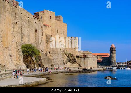 Château Royal de Collioure, eine französische königliche Burg in der Stadt Collioure, Frankreich Stockfoto