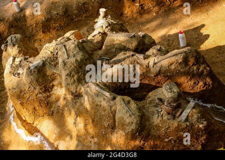 21. Juni 2021-Pocheon, Südkorea-in Diese Fotos wurden am 14. Juni 2013 aufgenommen. A zeigt die Überreste eines Soldaten, der während des Koreakrieges von 1950-53 getötet wurde, und seine Besitztümer, die die Agentur für KIA-Rückgewinnung und -Identifizierung in dem Berg in der Provinz Gyeonggi im Nordwesten Südkoreas ausgegraben hat. Das Projekt ist eine heilige Initiative der südkoreanischen Regierung, um unserer Verantwortung gerecht zu werden, die Überreste von 123,000 Kriegshelden wiederzuerlangen, die ihr Leben geopfert haben, um den Frieden und die Freiheit Südkoreas während des Koreakrieges zu schützen, deren Leichen aber nicht geborgen und begraben wurden un Stockfoto